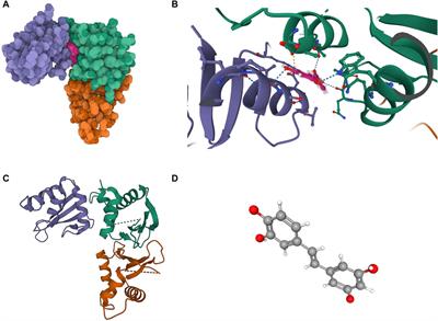 Exploring the roles and potential therapeutic strategies of inflammation and metabolism in the pathogenesis of vitiligo: a mendelian randomization and bioinformatics-based investigation